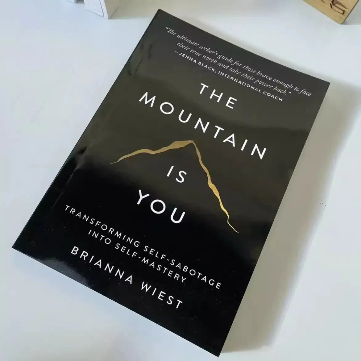 The Mountain Is You: Transforming Self-Sabotage Into Self-mastery English Books